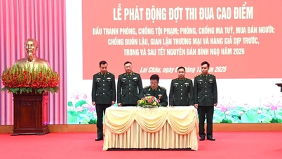 Запуск интенсивной кампании по борьбе с преступностью, предотвращению контрабанды, торгового мошенничества и контрафактной продукции на границе.