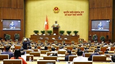 El 10 de diciembre, la Asamblea Nacional votará para aprobar 35 leyes y resoluciones.