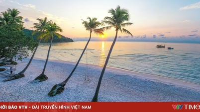 베트남, 연말연시 인기 여행지로 부상