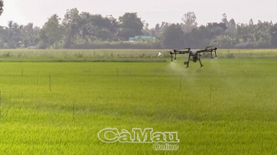 ヴィン・タン：ハイテク農業の開発に注力。