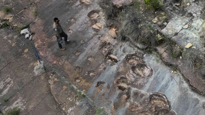 ເປີດເຜີຍການເກັບກໍາຮອຍຕີນໄດໂນເສົາທີ່ໃຫຍ່ທີ່ສຸດໃນໂລກ