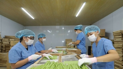 Notícia especial no jornal Hanoi Moi em 10 de dezembro de 2025.