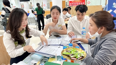 Følge næringshusholdninger i skattemeldingen