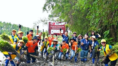 Penanaman 62 ribu pohon dalam 3 bulan untuk membantu mengurangi kerusakan akibat bencana alam