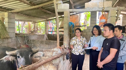 Mehr als 40.000 Haushalte profitieren im Zeitraum 2021–2025 von Programmen zur Armutsbekämpfung – Cao Bang Electronic Newspaper