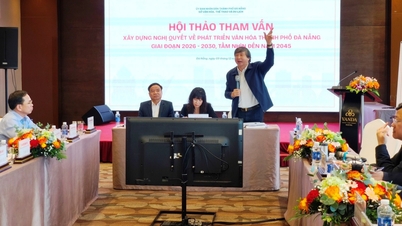 Da Nang etablerer en finansiell mekanisme for å ha nok ressurser til å bevare kulturarven