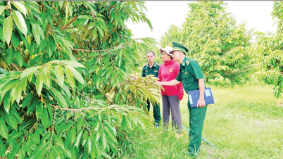 Unindo a vontade do Partido e os anseios do povo na linha de frente da Pátria.