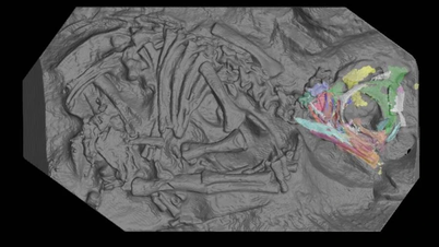 초고해상도 3D 스캐닝 기술을 이용한 고대 공룡 배아 분석