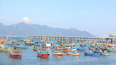 100% statków rybackich jest zarejestrowanych w bazie VNFishbase.