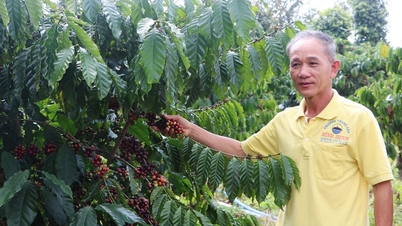 "Locomotiva" no trabalho de comunicação para redução da pobreza na aldeia de Plôm