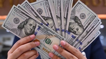 Valutakurser, USD/VND-växelkurs idag, 23 januari: Den amerikanska dollarn faller något, kapitalet rör sig verkligen bort från dollarn.