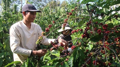 Abrindo oportunidades de subsistência com empréstimos preferenciais