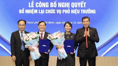 4.000 veya 40.000 öğrencisi olan üniversitelerin en fazla 3 rektör yardımcısı olabilir, bu bir sorun teşkil eder mi?