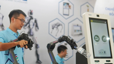 Campionul național la startup-uri va participa la Cupa Mondială a Startup-urilor