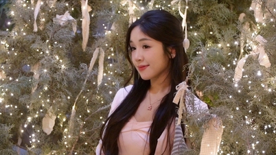 हनोई: एक कैफे में विशाल क्रिसमस ट्री के साथ तस्वीरें खिंचवाने के लिए GenZ की लंबी कतारें लगी हैं।