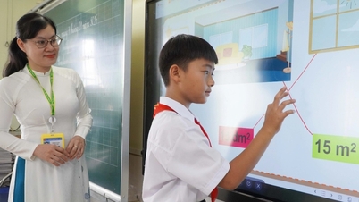 Apakah guru memerlukan sertifikat bahasa asing dan keterampilan komputer saat dipertimbangkan untuk promosi?