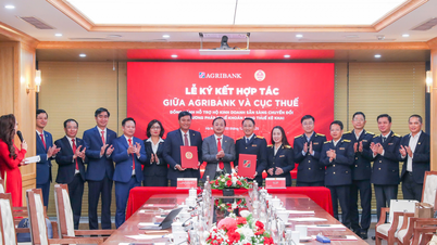 Agribank begleitet Unternehmen und Privathaushalte bei der digitalen Transformation