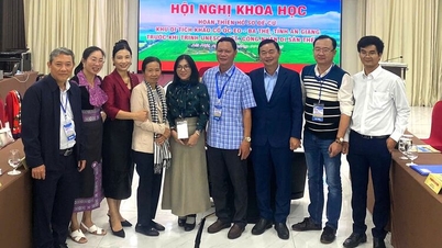 El proyecto Óc Eo – Ba Thê necesita ser finalizado con calidad y consenso.