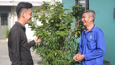 Gran unidad en tierras públicas - Parte 3: Donde existe la gran unidad