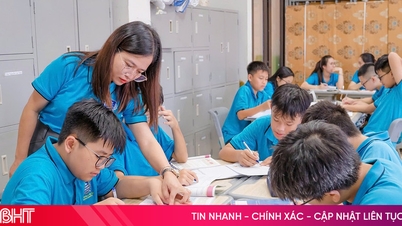 알베르트 아인슈타인 학교에서는 중·고등학교 교사 5명을 모집합니다.