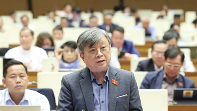 Alterações e acréscimos à Resolução 98/2023/QH15: Novas instituições para a cidade de Ho Chi Minh demonstrar melhor sua responsabilidade pioneira.