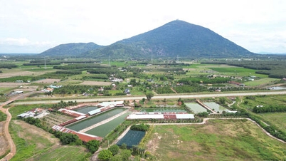 Entwicklung von Rohstoffgebieten, die den GAP-Standards entsprechen.