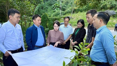 Criando um marco no desenvolvimento do polo industrial de Phuc Ung