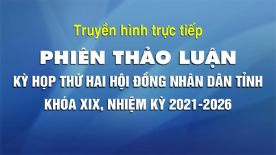 Transmissão ao vivo: Sessão de debate da 2ª sessão do 19º mandato do Conselho Popular da província de Tuyen Quang, mandato 2021-2026.