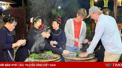 আন্তর্জাতিক পর্যটকরা বা বে ভ্রমণের সময় বেগুনি পাতায় মোড়ানো আঠালো চালের কেক পিষে খাওয়ার অভিজ্ঞতা উপভোগ করেন।