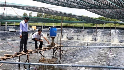 O desenvolvimento de meios de subsistência é uma solução fundamental para a redução sustentável da pobreza entre pessoas em situação de vulnerabilidade.