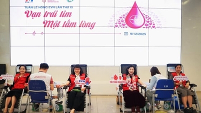 ইভিএন পিঙ্ক উইক: টেন থাউজেন্ড হার্টস - ওয়ান হার্ট