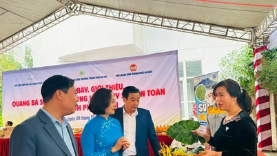 Meningkatkan status perempuan: