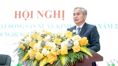 ডাক নং অ্যালুমিনিয়াম কোম্পানি: 'শৃঙ্খলা এবং ঐক্য'