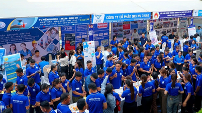 Schaffung von Möglichkeiten für junge Menschen, im Ausland im Rahmen von Arbeitsverträgen zu arbeiten.