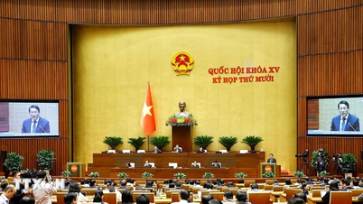 Vandaag stemt de Nationale Vergadering over 20 wetsontwerpen en 5 resoluties.