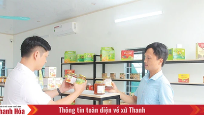 Opracowanie łańcucha powiązań w celu konsumpcji produktów OCOP