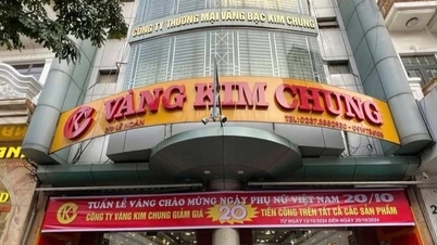 La tienda de oro de Thanh Hoa, con ingresos de 5 billones, revela el rapidísimo proceso de aumento de capital.