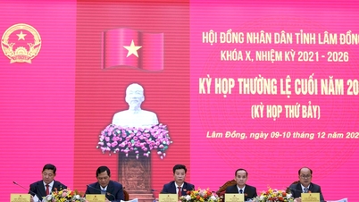 Lam Dongs provinsiella folkråd diskuterar lösningar för att främja socioekonomisk utveckling.