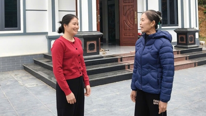 Verbreitung der Petitionen zur Armutsbekämpfung