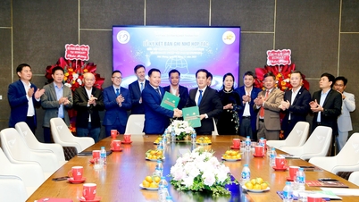 ハンガリーにおけるハイフォンの企業とベトナムの企業間の連携と協力を促進します。