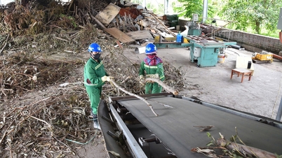 Το Χάι Φονγκ προωθεί τη διαλογή των αποβλήτων στην πηγή.