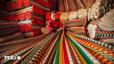 Χωριό ύφανσης χαλιών από σπαθόχορτο Phu Tan - Η ψυχή μιας αιωνόβιας τέχνης δίπλα στη λιμνοθάλασσα O Loan.