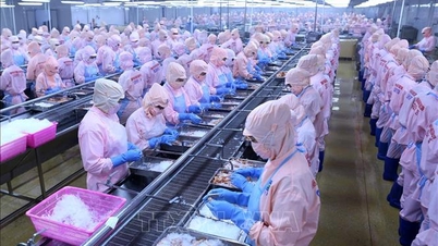 সামুদ্রিক খাবার ১১ বিলিয়ন মার্কিন ডলারে পৌঁছে দেওয়ার প্ল্যাটফর্ম