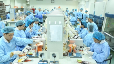 ຢູ່ເບື້ອງຫຼັງທຸກໜ່ວຍຂອງເລືອດແມ່ນການຕໍ່ສູ້ຂອງວິລະຊົນທີ່ບໍ່ເຄີຍມີມາກ່ອນ.