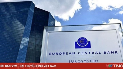ЄЦБ може залишити процентні ставки незмінними у грудні