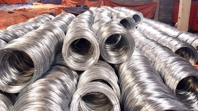 Kanada snižuje antidumpingové rozpětí na vietnamský válcovaný drát