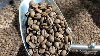 Prix ​​du café aujourd'hui, 10 décembre 2025 : hausses et baisses mitigées.