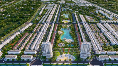 តើសន្ទុះថ្មីរបស់ Taseco Land មកពីណា៖ ទីផ្សារ ឬមូលនិធិដីស្អាត?