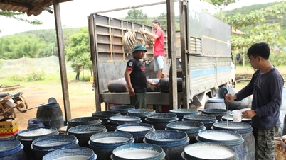 دا ته ۳ سرمایه‌گذاری در توسعه جامع مناطق اقلیت‌های قومی را در اولویت قرار می‌دهد