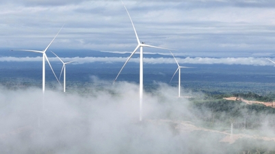 A aspiração da Bau Hien é criar valor sustentável a partir de energia renovável.